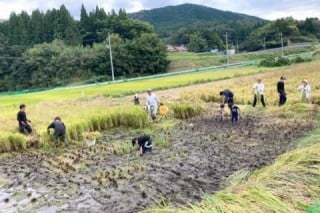 9月　お米の収穫作業